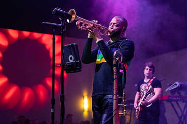 shorty gras mardi gras