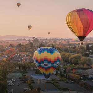 A Local’s Guide to Napa Valley with Kids 